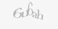 Güvenlik kodu