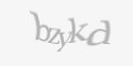 Güvenlik kodu