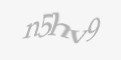 Güvenlik kodu