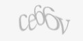 Güvenlik kodu