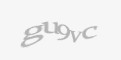 Güvenlik kodu