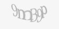 Güvenlik kodu